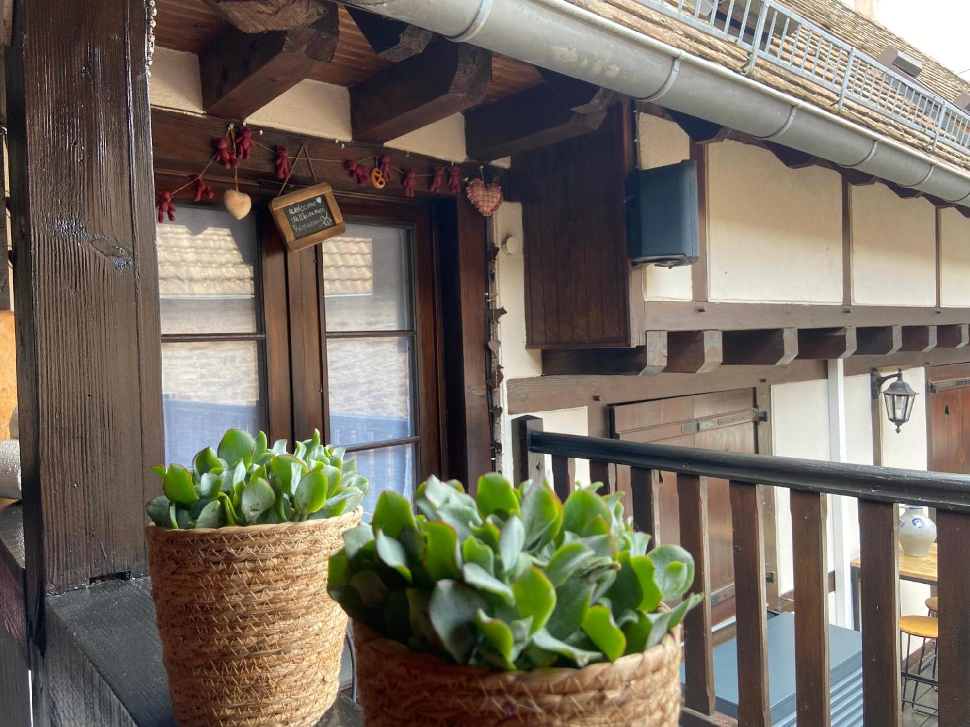 Bed and Breakfast Relais Du Dompeter Molsheim Esterno foto