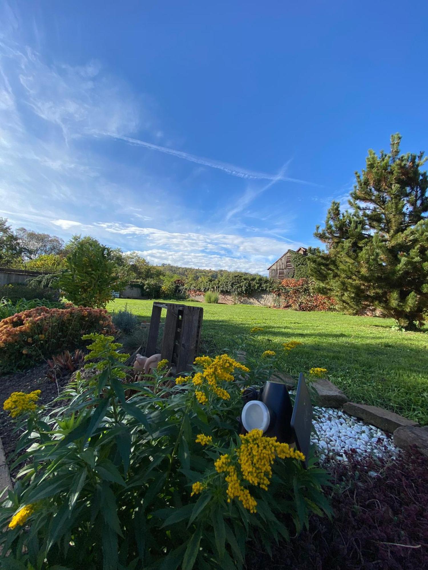 Bed and Breakfast Relais Du Dompeter Molsheim Esterno foto