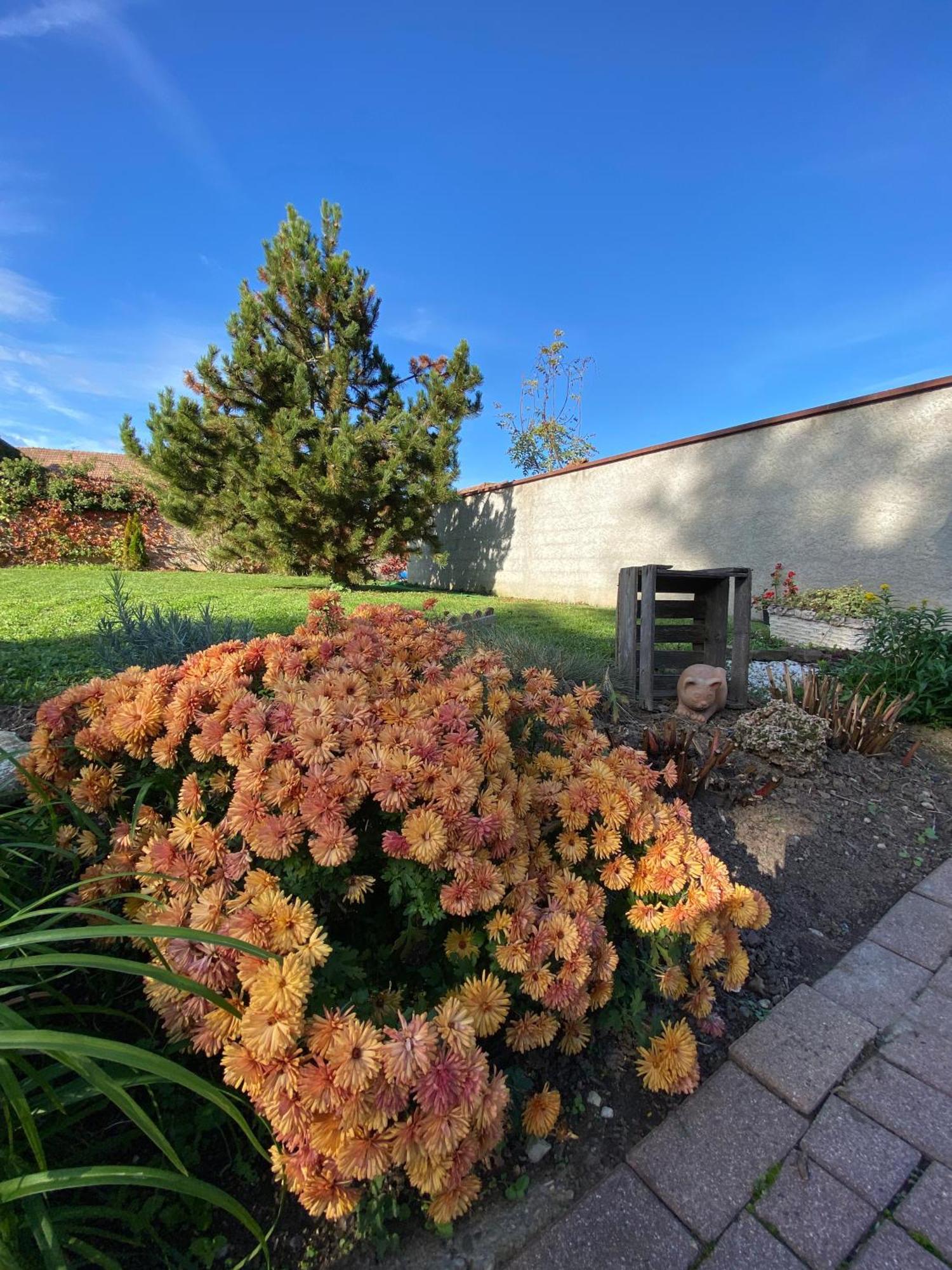 Bed and Breakfast Relais Du Dompeter Molsheim Esterno foto